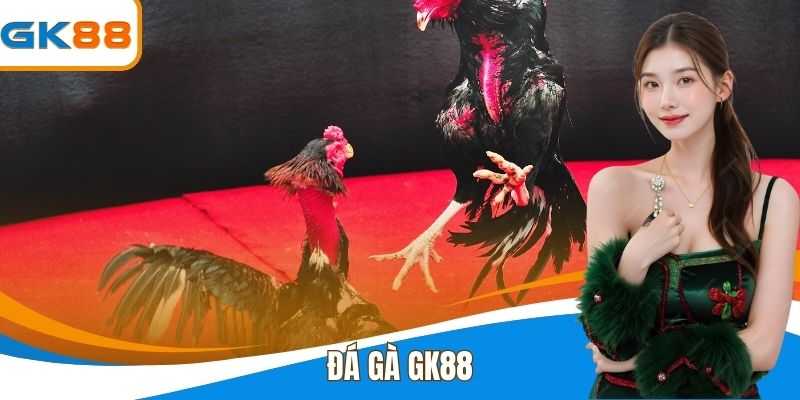 Đá Gà GK88 - Cá Cược Trực Tuyến Kịch Tính Và An Toàn