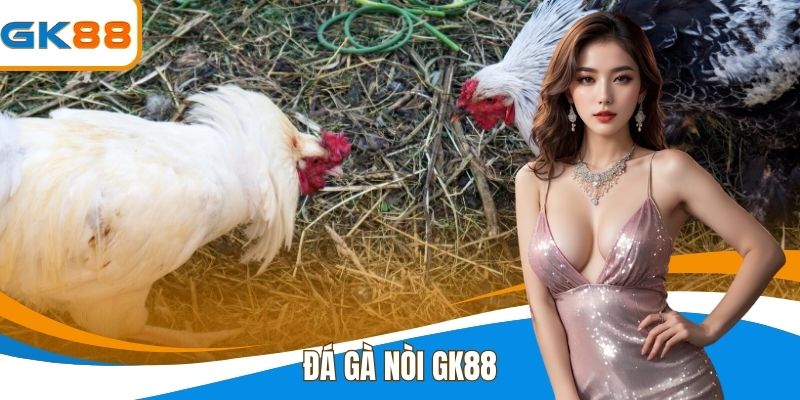 Đá Gà Nòi - Tinh Hoa Trong Chọi Kê Cực Đẳng Cấp