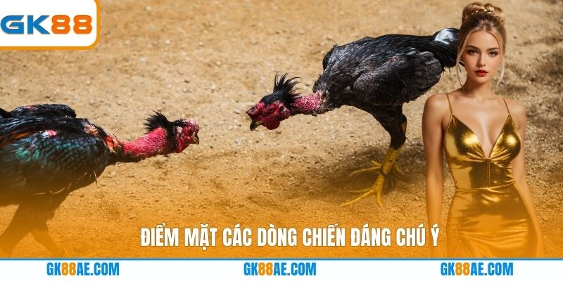 Điểm mặt các dòng chiến đáng chú ý