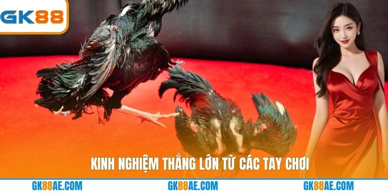 Kinh nghiệm thắng lớn từ các tay chơi