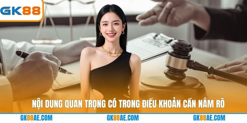 Nội dung quan trọng có trong điều khoản cần nắm rõ